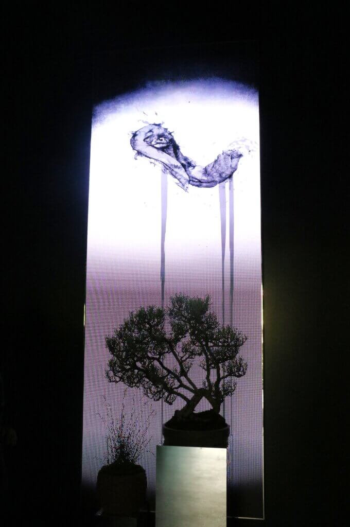 teamlab-kyoto
