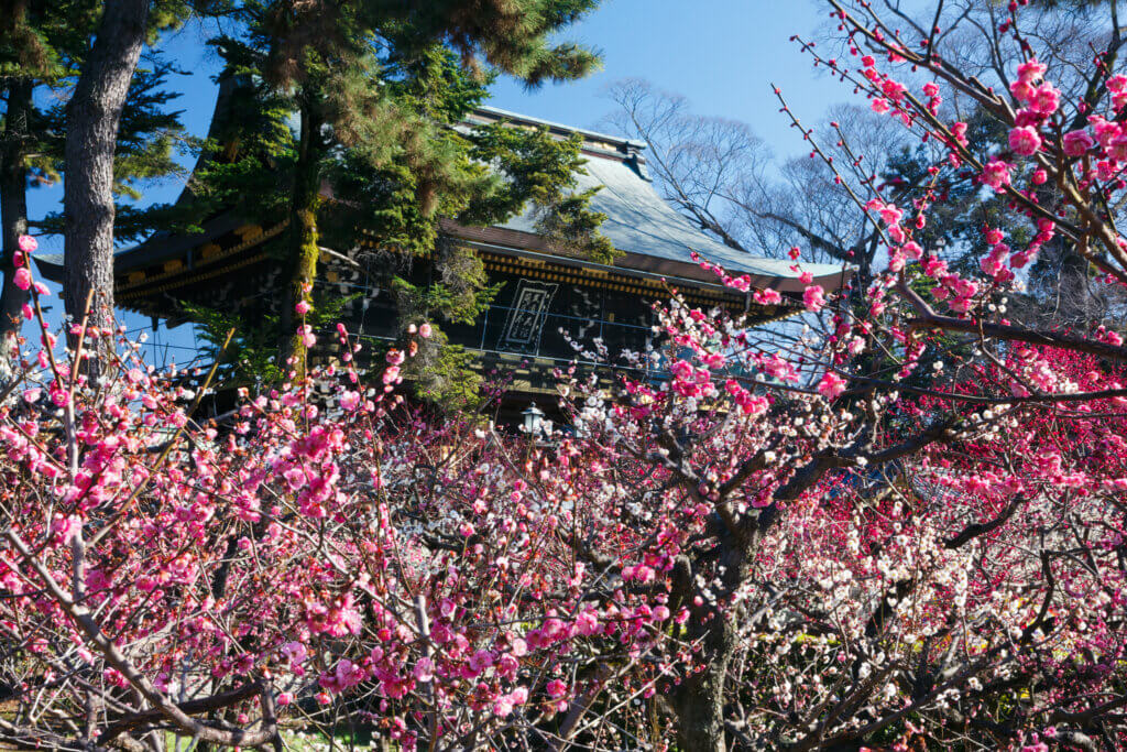 KYOTO NIPPON FESTIVAL 2026