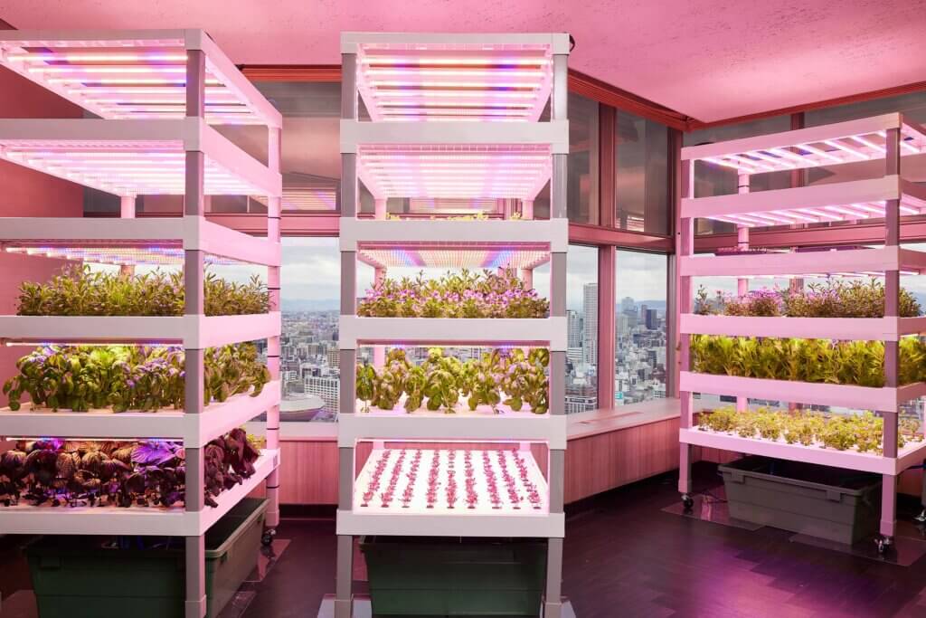 スイスホテル南海大阪