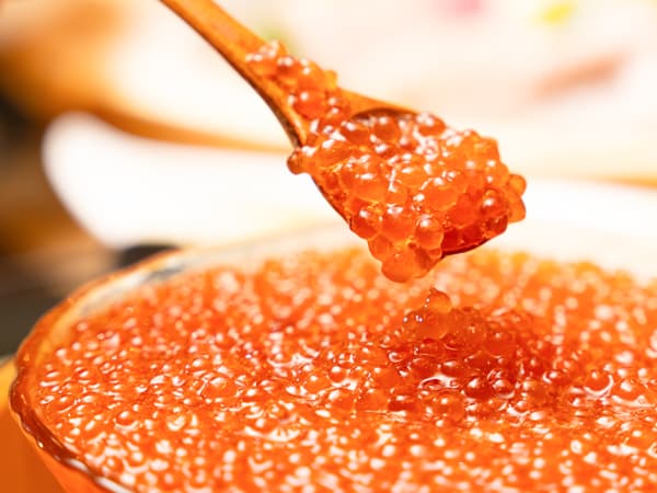 リブマックスさきしまコスモタワーホテル