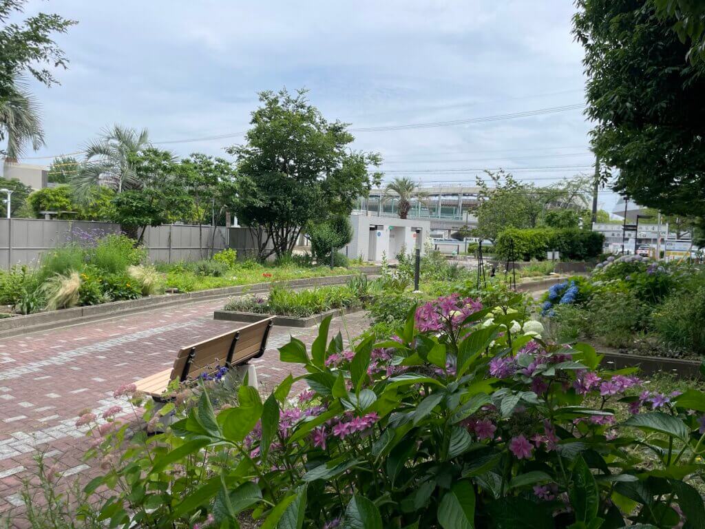 ボランティアの方々がお世話をしている花壇　2025年6月撮影