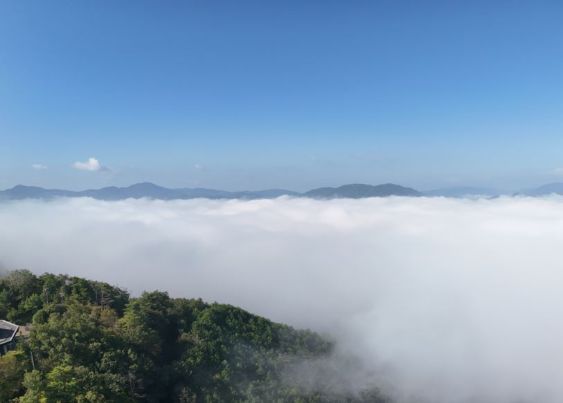 バルーンフェスティバル2026