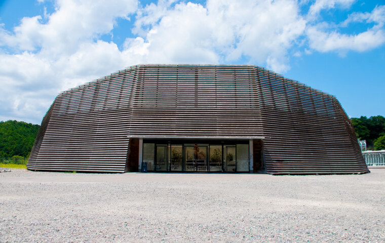 VISON DOME