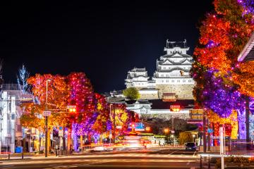 Himeji大手前通りイルミネーション(大手前通りから見た様子)