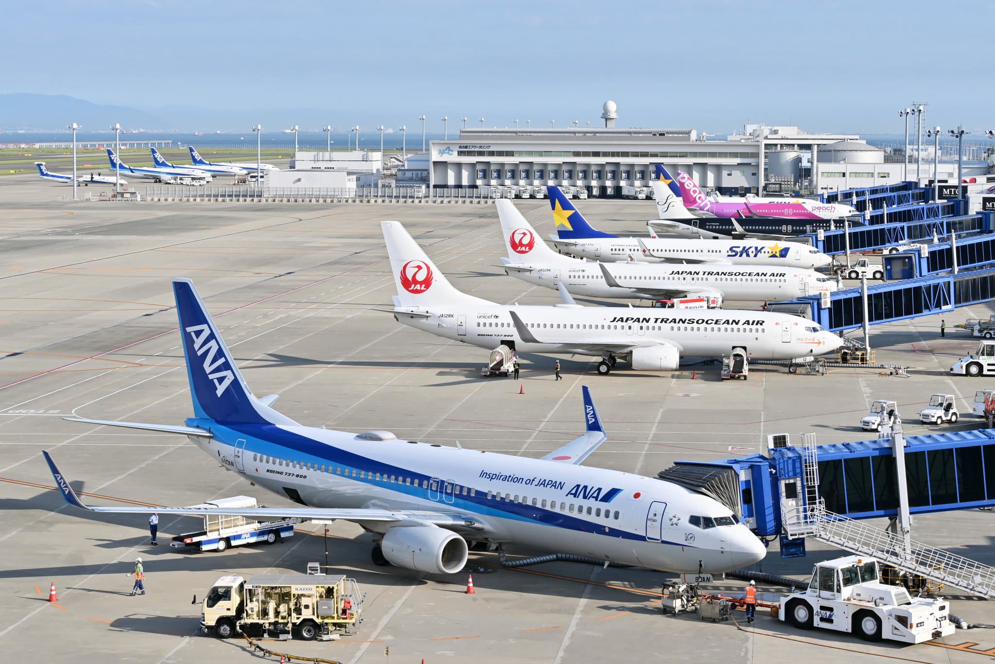 フライトオブドリームズ