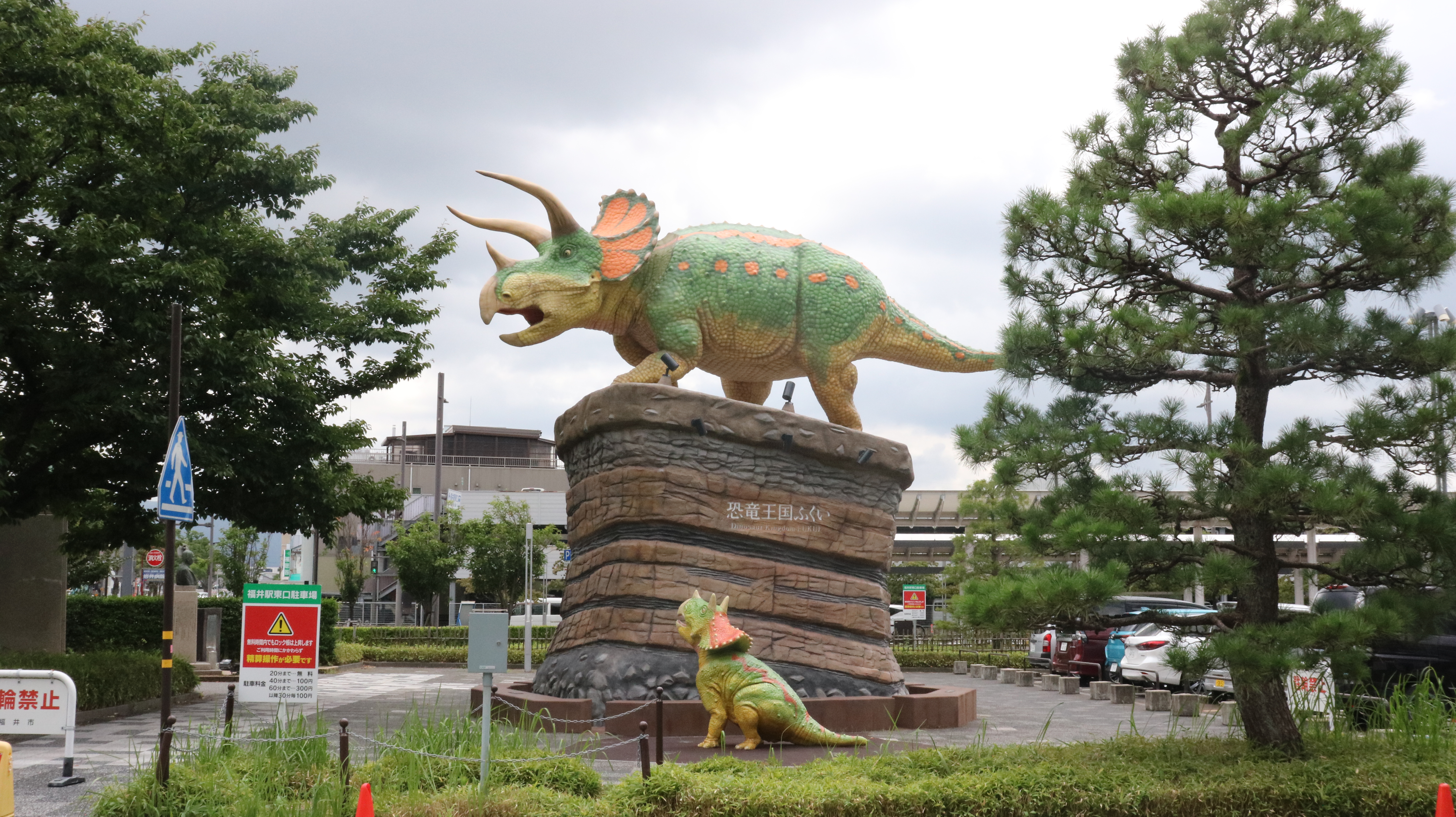 fukui-mice