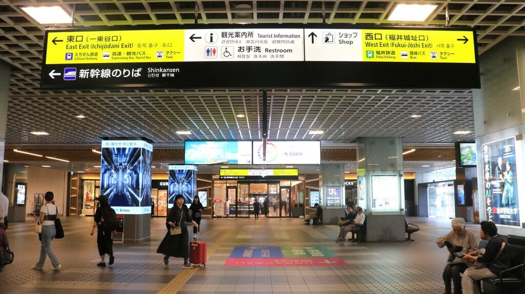 fukui_mice202607
