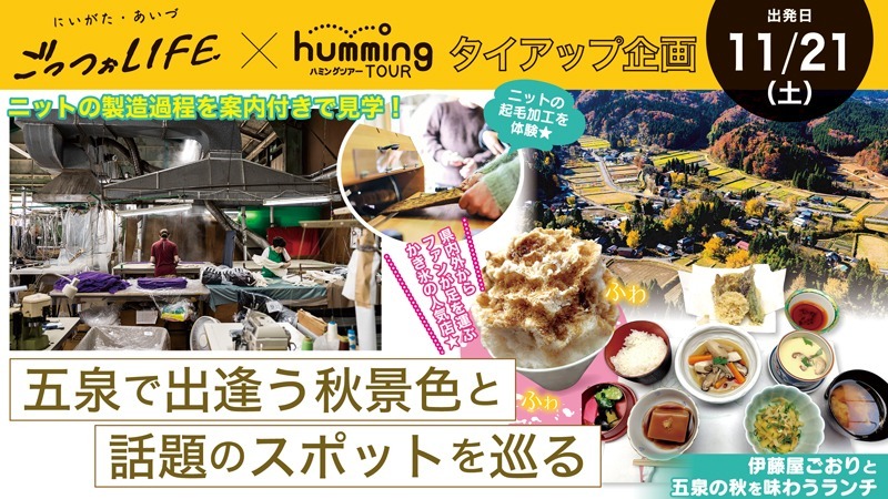 GOSEN KNIT FES